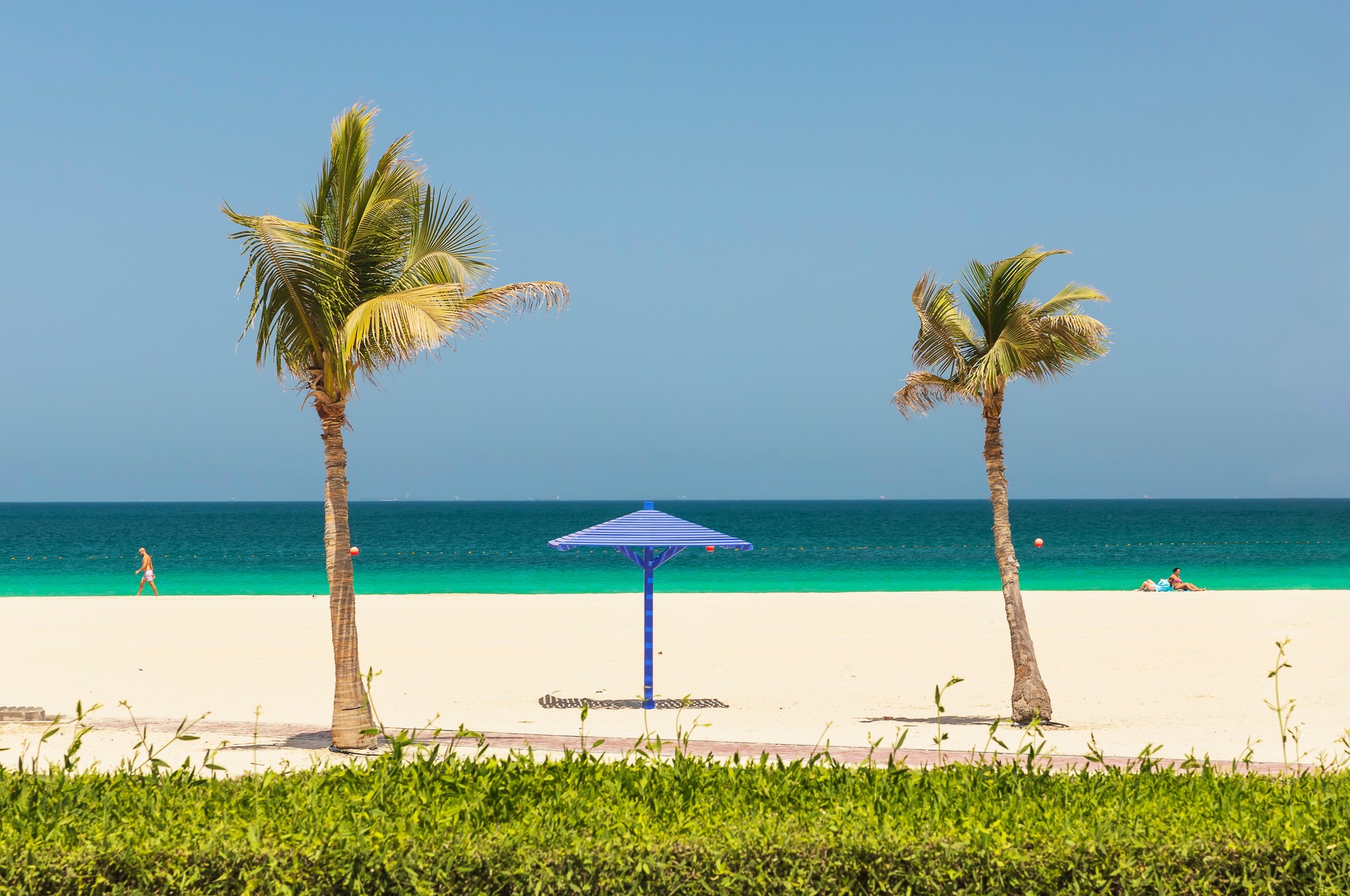 Palm trees on Al Mamzar beach in Dubai