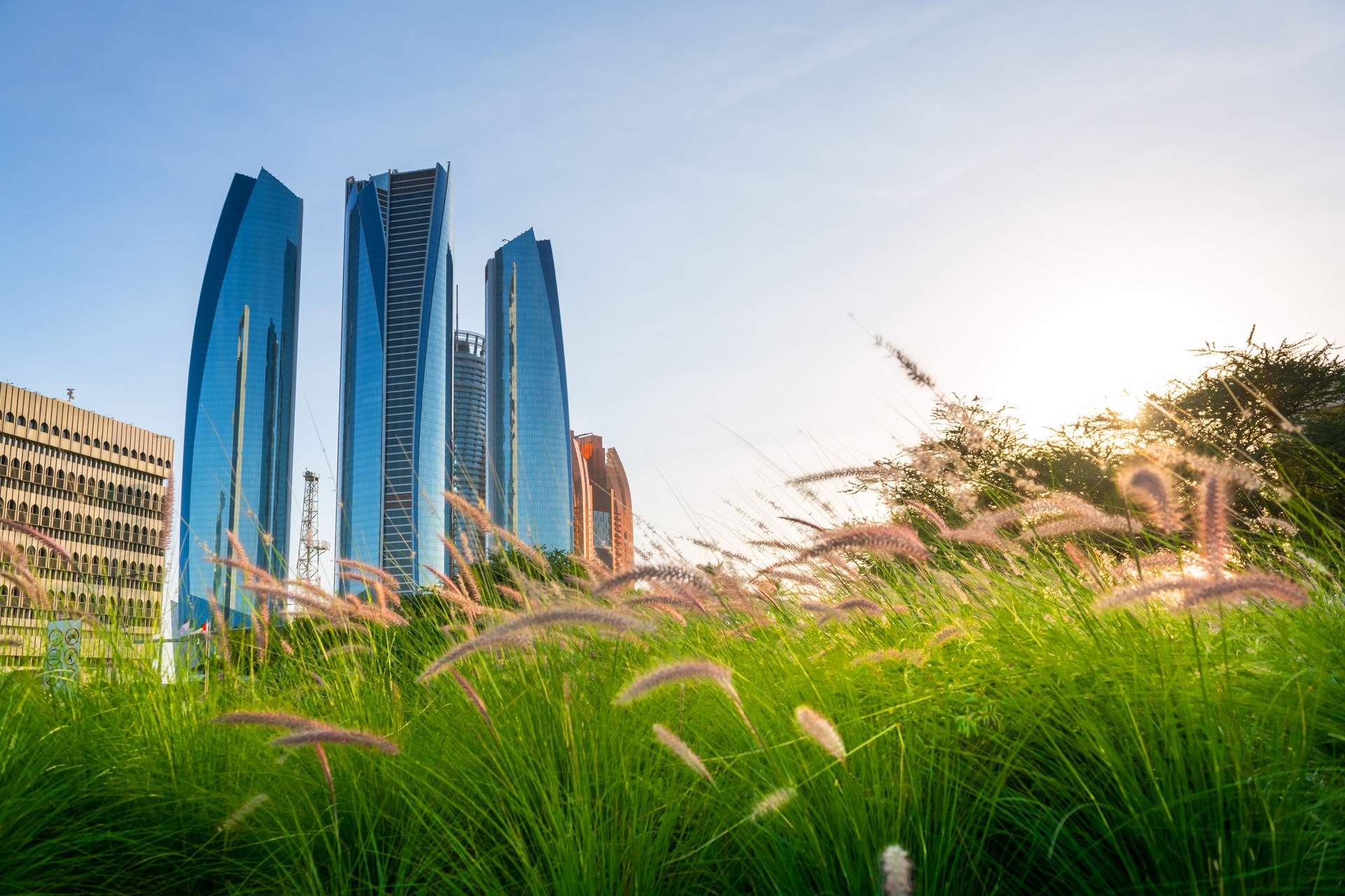 Abu Dhabi, United Arab Emirates. View of downtown with modern skyscrapers from the park
